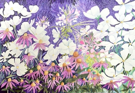 Dorchester Garden