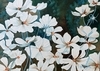 Cosmos