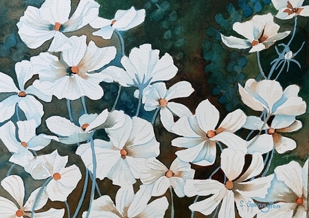Cosmos