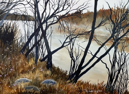 Mississauga River